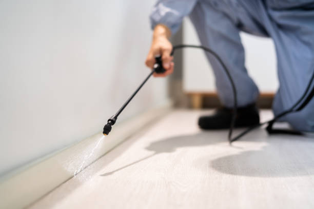 Licensed Cockroach Control service in Beecher, MI - Nex Pest Control