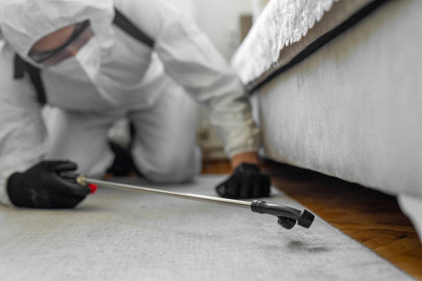 Professional Cockroach Control technician working in Beecher, MI