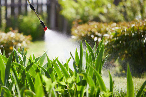 24/7 Emergency Cockroach Control experts in Beecher, MI