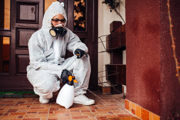 Reliable Cockroach Control contractor in Beecher, MI by Nex Pest Control