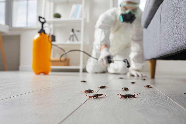 Affordable Cockroach Control solutions in Beecher, MI